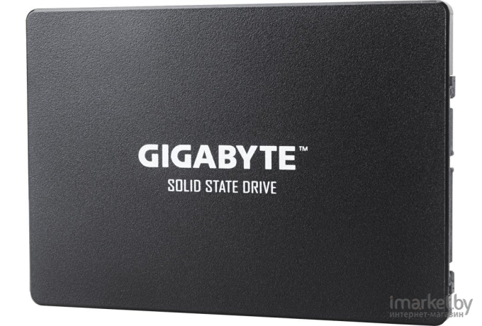 SSD диск Gigabyte GP-GSTFS31100TNTD 1 TB