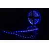  SWG Лента светодиодная стандарт 3528, 60 LED/м, 4,8 Вт/м, 12В , IP20, Цвет: Синий [SWG360-12-4.8-B]