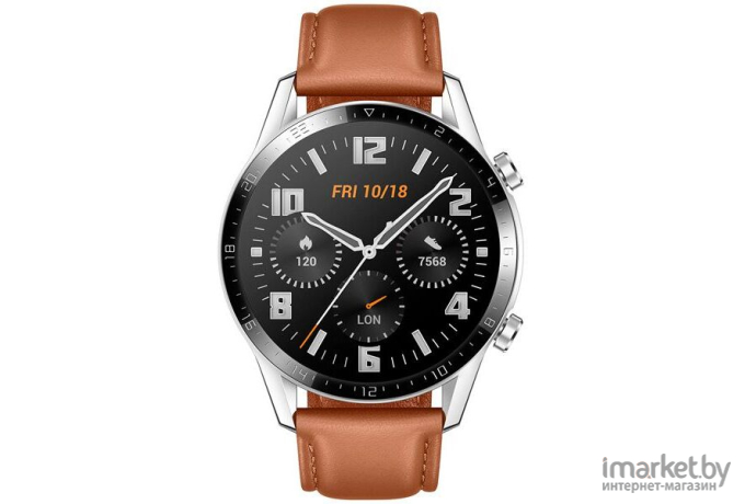 Умные часы Huawei Watch GT 2 LTN-B19 Pebble Brown