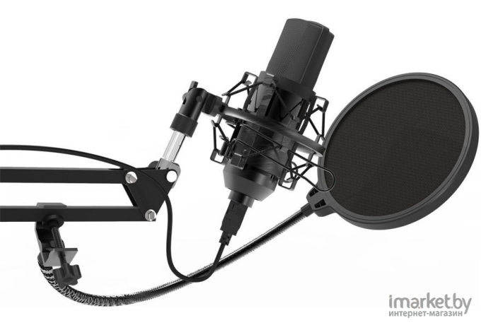 Микрофон Ritmix Микрофон Ritmix RDM-169 Black черный
