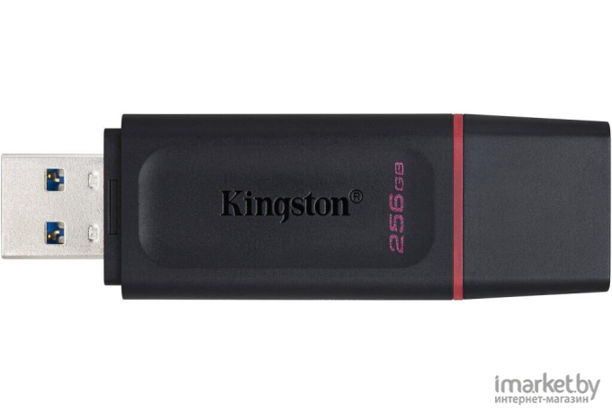 Usb flash Kingston 256Gb DataTraveler Exodia [DTX/256GB]