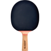 Набор для настольного тенниса Donic PERSSON 600 (1 ракетка, 3 мячика Avantgarde 3*, чехол) [788487]