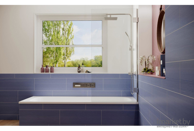 Стеклянная шторка для ванной Ambassador 16041101