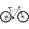 Велосипед Format 1413 29 L 2020-2021 серый матовый [RBKM1M39E018]