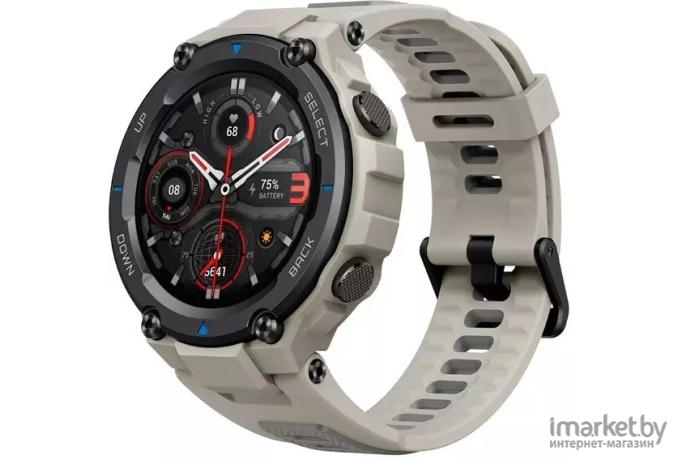 Умные часы Amazfit T-Rex Pro A2013 серый [A2013DG]