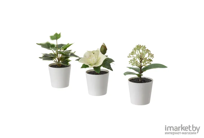 Искусственное растение Ikea Фейка белый [ 504.965.93]