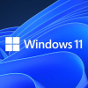 Лицензия Microsoft OEM Windows 11 Pro 64-bit English 1pk DSP OEI DVD [FQC-10529]