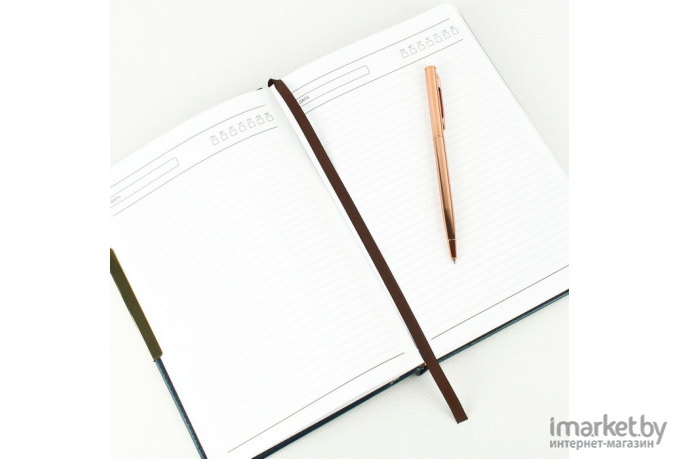 Ежедневник Darvish с ручкой (DV-12585)