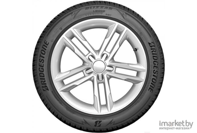 Автомобильные шины Bridgestone Blizzak LM005 315/35R20 110V