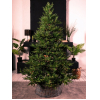 Новогодняя елка GrandSiti Виктория плюс 210 см с гирляндой GS0500 (101-254)