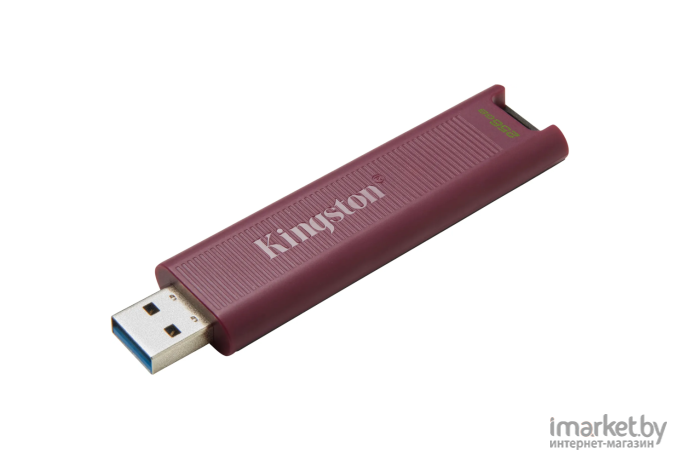 Накопитель USB Kingston DataTraveler Max 256GB DTMAXA/256GB