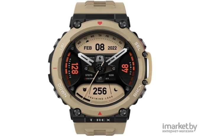 Умные часы AMAZFIT T-Rex 2 Desert Khaki (A2170)