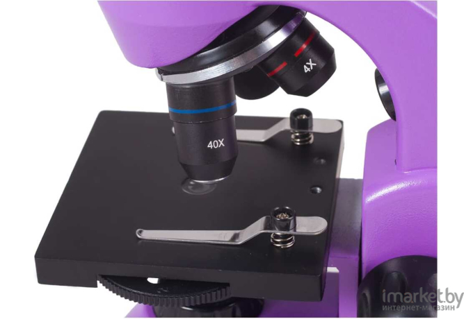 Микроскоп Levenhuk Rainbow 50L Plus аметист (690522)