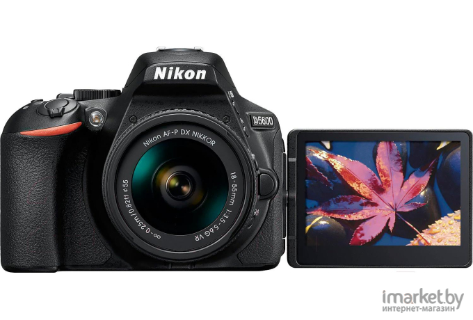 Фотоаппарат Nikon D5600 Kit 18-55mm AF-P DX VR